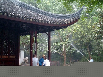 江蘇蘇州拙政園全面噴藥防治病蟲(chóng)害（圖）