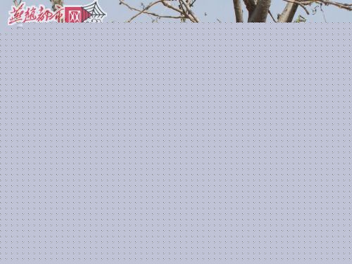 “”ˮyԹƬ(sh)~D