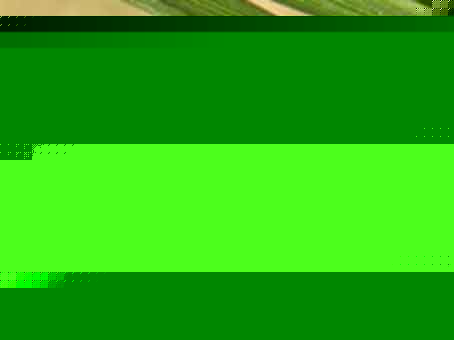 Ұx