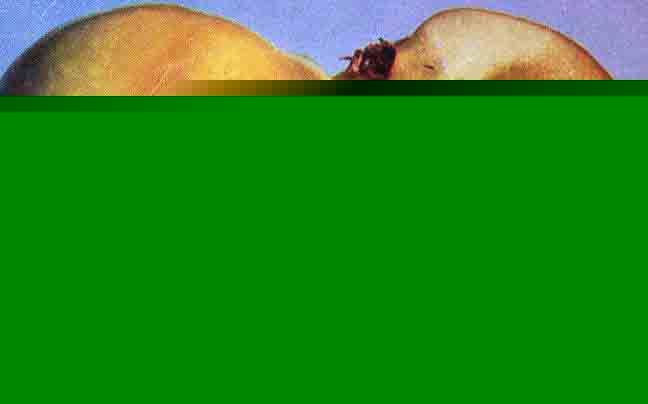 O(png)ˮĲ