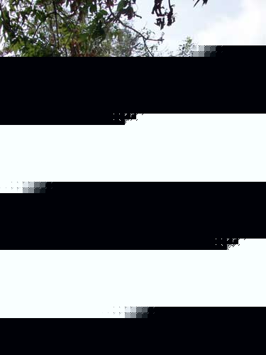 ӱ_⣺yľу߅