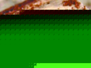 ɲľx