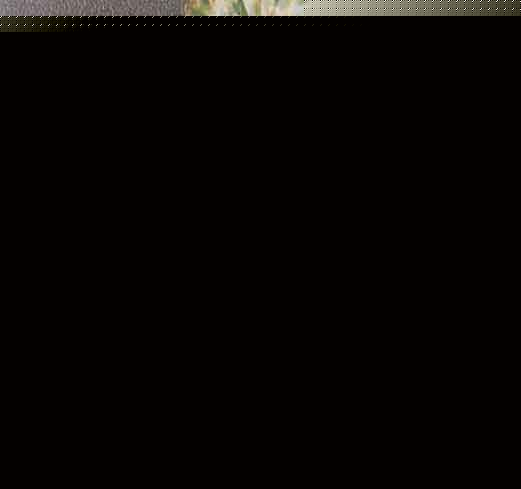 ˮP