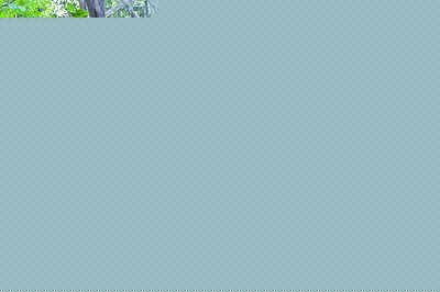 gˆTڬFȾρĿݘ䇊ˎۡ
