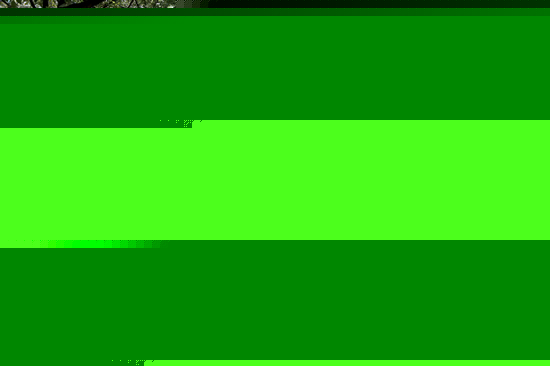 㽭Ј@ֲTӏGx