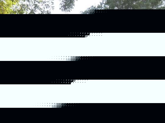 r(nng)ˎ皢׶