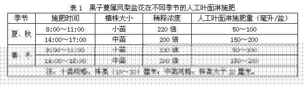 ^pP軨agҎ