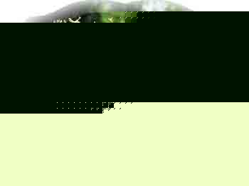 ֦ظɷĶx岽