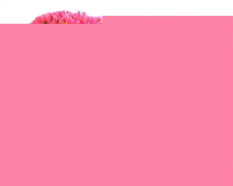 |辰ِƷ