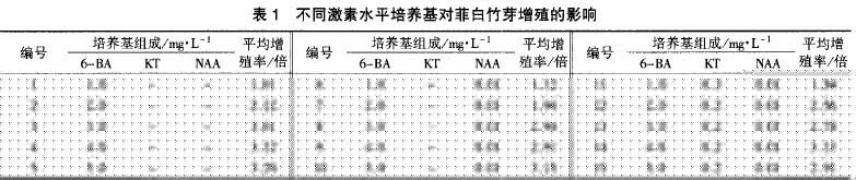 飛白竹1